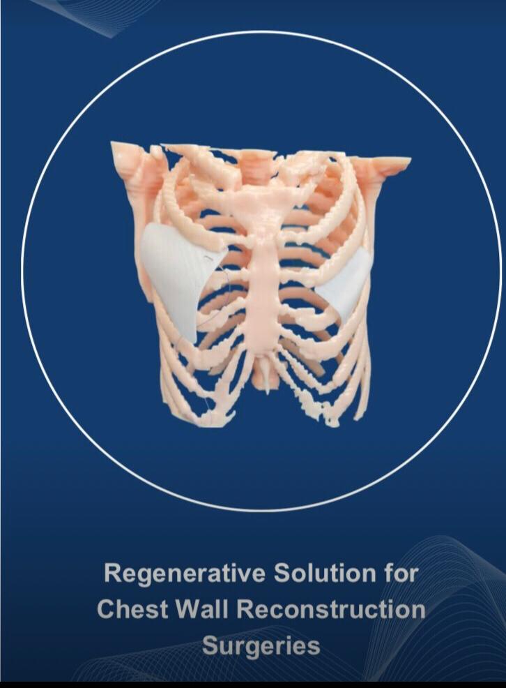 BlooCell Thorax Bone Scaffold